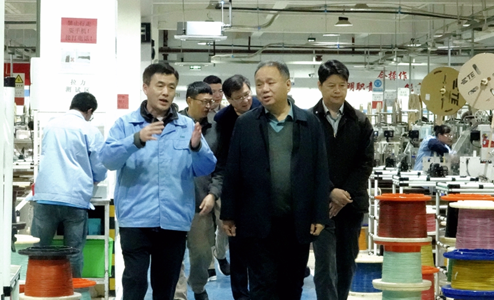 IMG_20241125_113840 IMG_20241125_113840