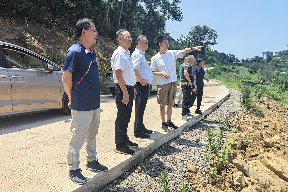 50efd726-46f7-4273-8356-f82838223ac4