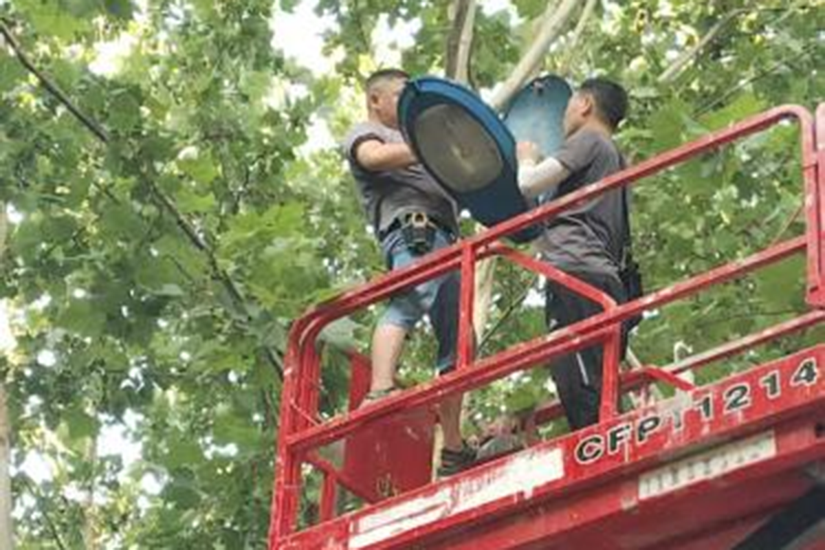 微信图片_20250803140034